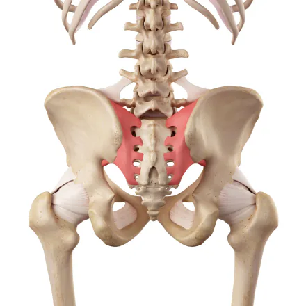 Sacroiliac joint (SIJ) dysfunction treatment